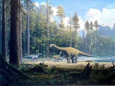 มันเป็นลักษณะของ Mesozoic เขตการปกครองธรณีวิทยาสายพันธุ์