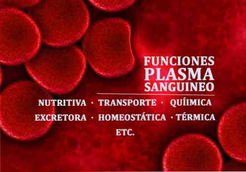 Pembentukan, komponen dan fungsi plasma darah