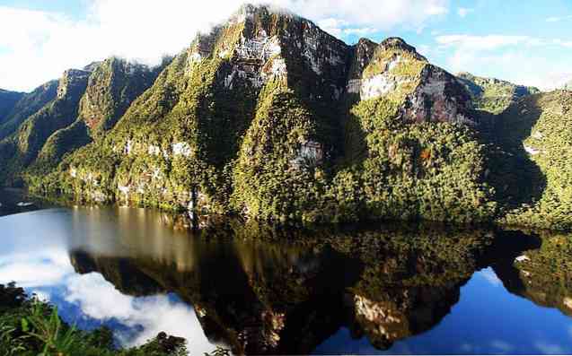A perui erdő természeti erőforrásai, erdők és sokszínűség