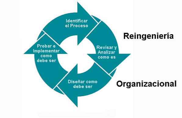 Organisatorisk reengineering proces og eksempler
