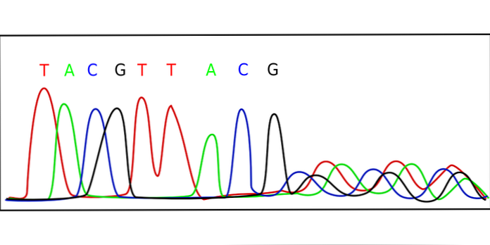 DNS sekvencēšana Maxam-Gilbert, Sanger metode, piemēri