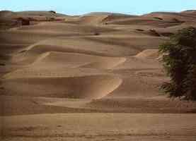 Характеристики песчаных почв, свойства, состав, местоположение