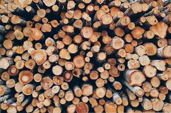 Značilnosti, vrste in uporaba lesenih stebel