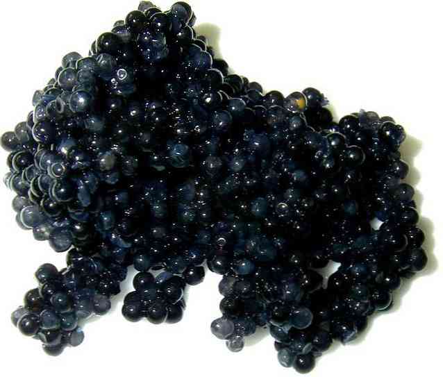 10 Manfaat Cemerlang Caviar untuk Kesihatan