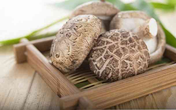 15 Sifat Jamur Shiitake untuk Kesehatan