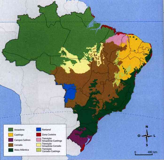 Природные зоны бразилии почва. Почвы Бразилии карта. Лесные ресурсы Бразилии карта. Почвенные ресурсы Бразилии карта. Этническая карта Бразилии.