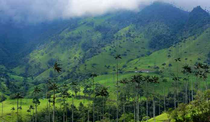 कोलम्बिया के रेडियन क्षेत्र की जलवायु कैसी है?