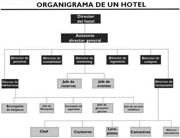 Kā ir viesnīcas organizācijas shēma? (un tās funkcijas)