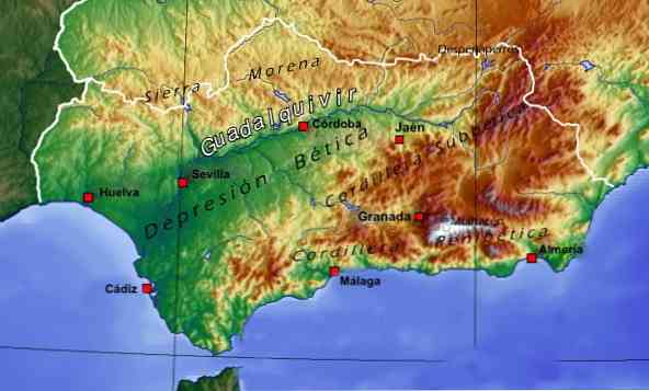 Depressie van de geografie, geologische oorsprong en reliëf van de Guadalquivir