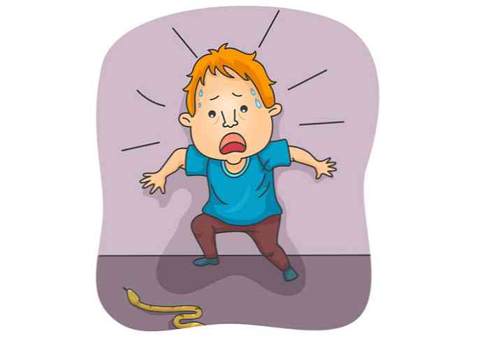 Симптомы, причины и методы лечения фобии змеи (Ophidiofobia)