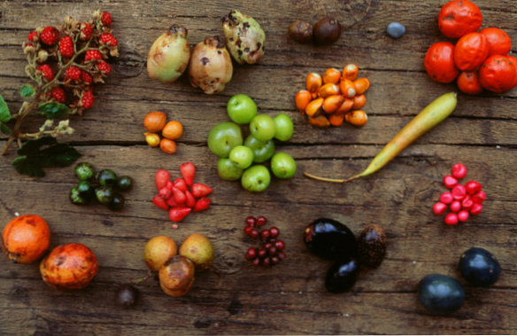 10 dabisko pretvēža pārtikas produktu saraksts, kas jāveic ikdienas lietošanai