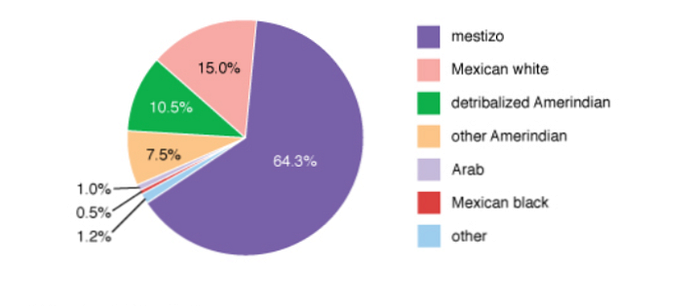 Постройте круговую диаграмму расово этнического состава населения мексики