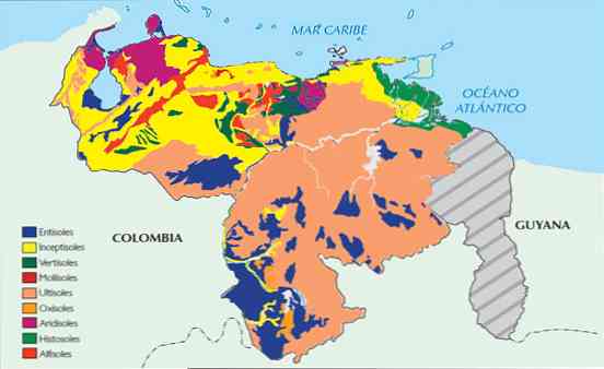 9-те вида почви във Венецуела