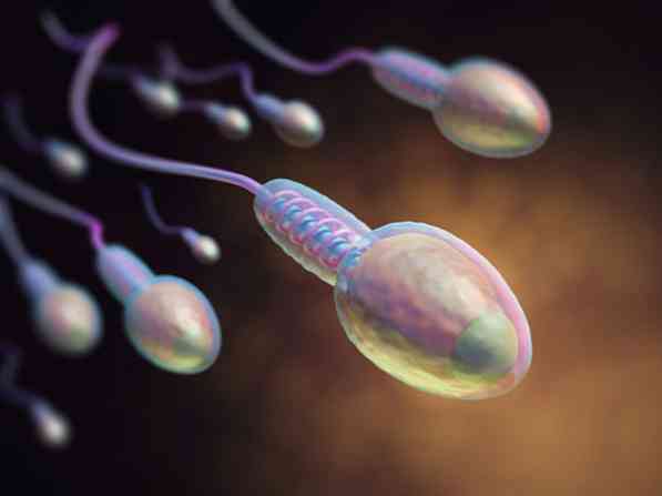 ما هو Spermatobioscopy؟