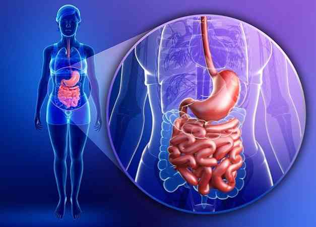 Hệ vi sinh vật đường ruột là gì?