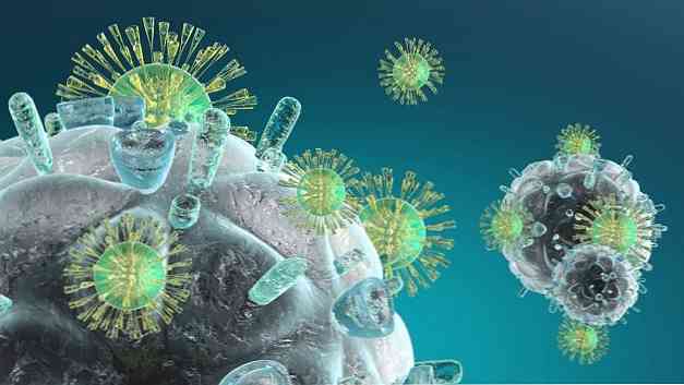Čo môže poškodiť imunitný systém? (10 bodov)