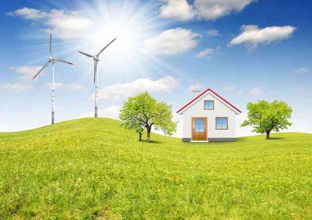 Obnoviteľné prírodné zdroje (s 30 príkladmi)
