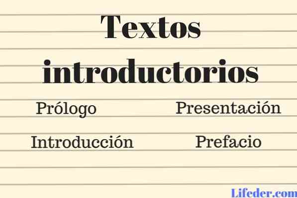 textos introductorios caractersticas estructura y tipos