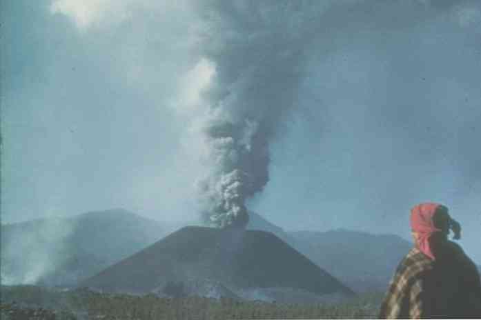 Paricutín 화산 어떤 산악 제도가 일부인가?